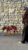 Charger l'image dans la visionneuse de la galerie, Harnais Teddy Rose - tissu douceur
