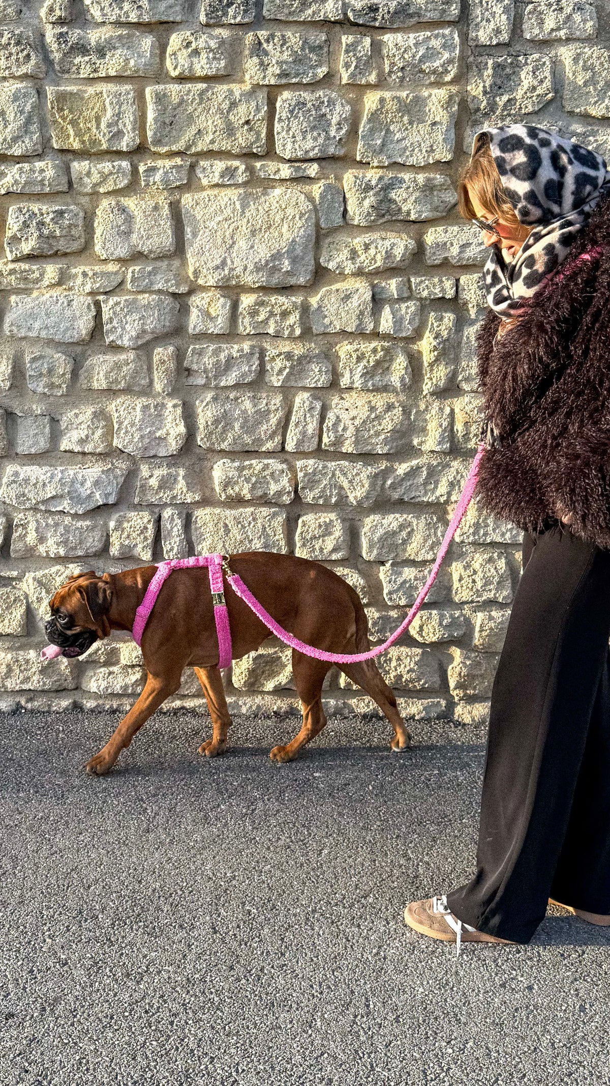 Harnais Teddy Rose - tissu douceur