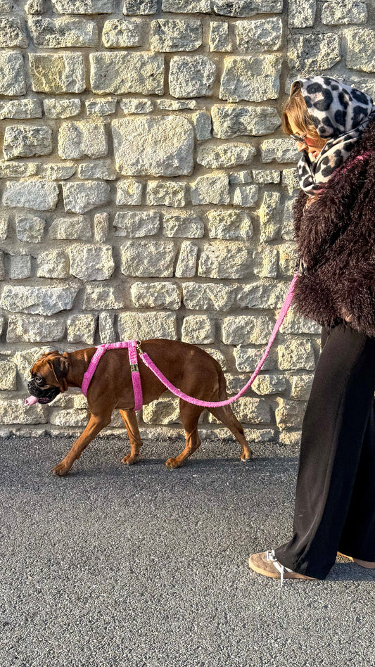 Harnais Teddy Rose - tissu douceur