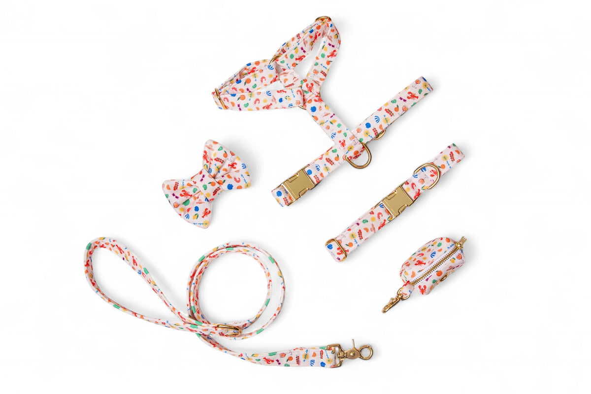 Nœud papillon Dolce Vita - tissu imperméable