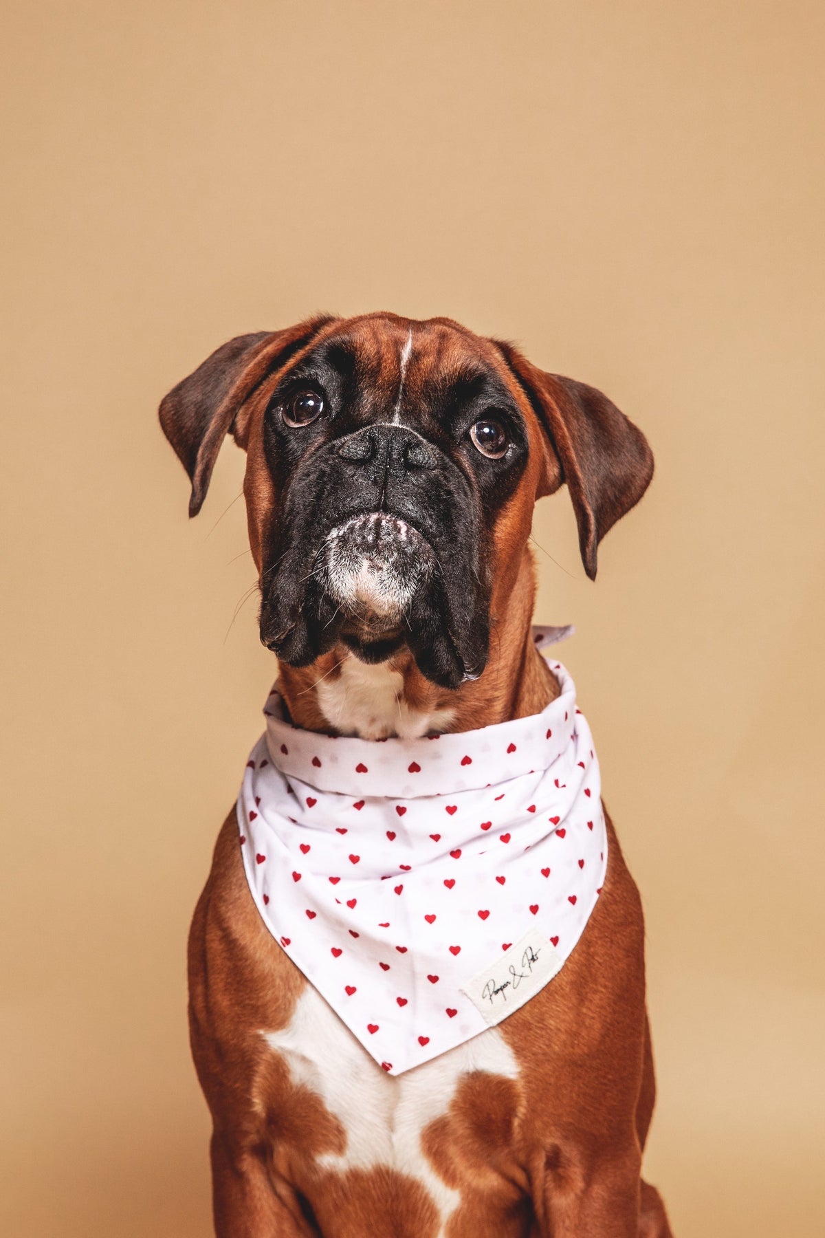 Bandana Pompon&Pets