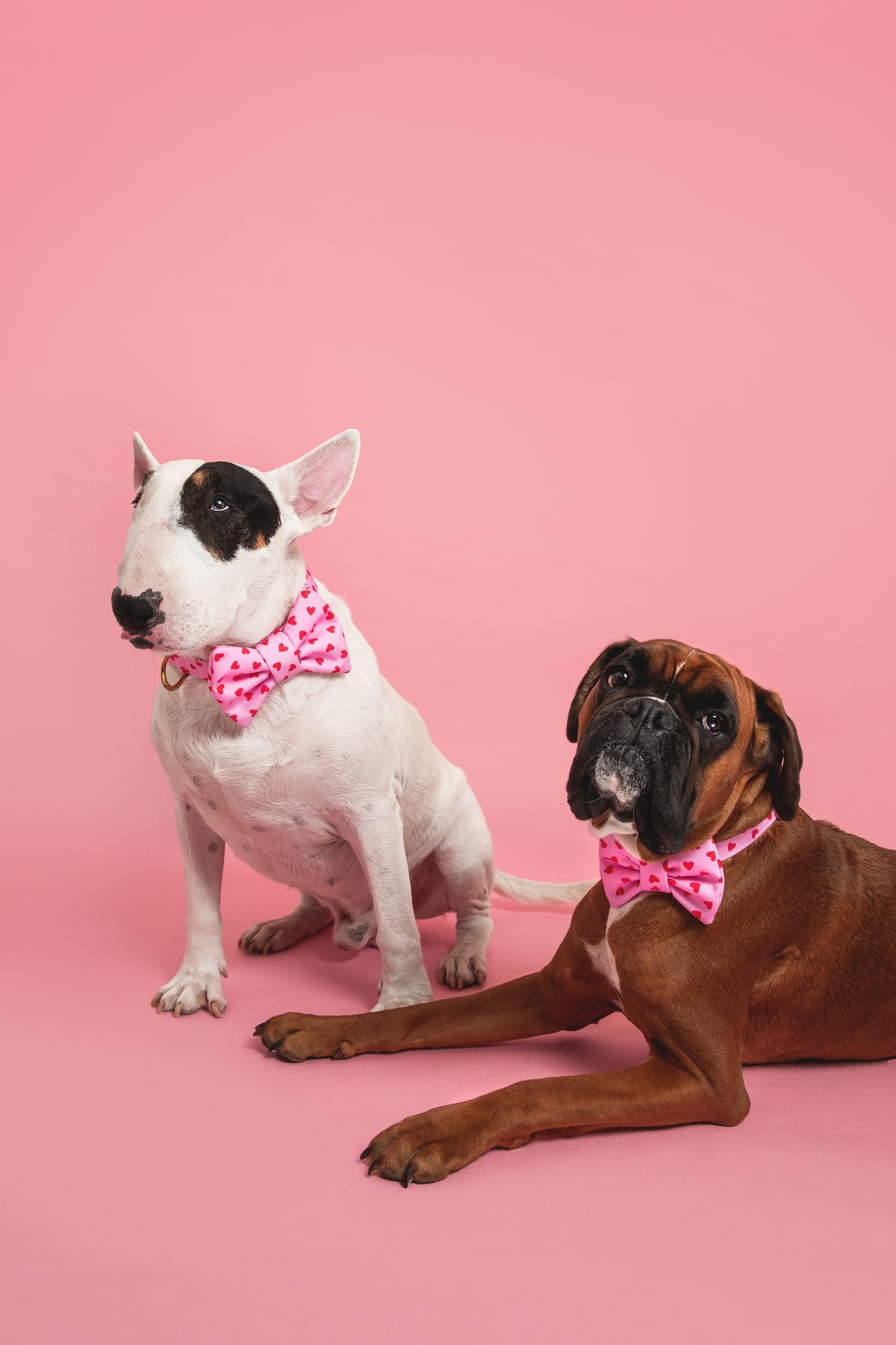 Amore Bow Tie - waterproof fabric