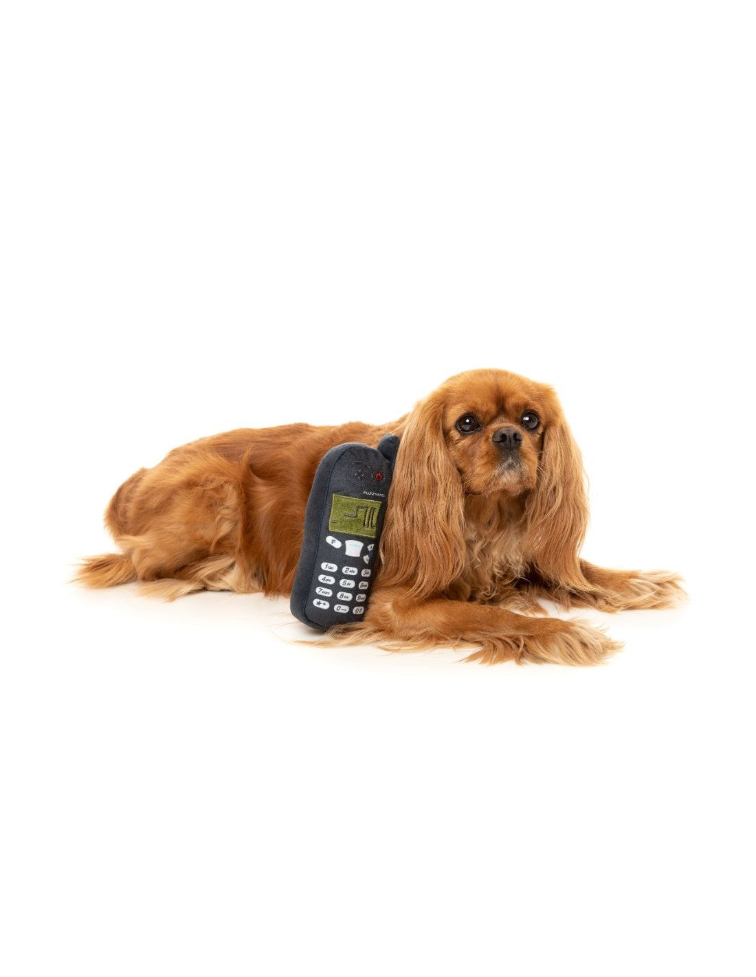 Téléphone rétro