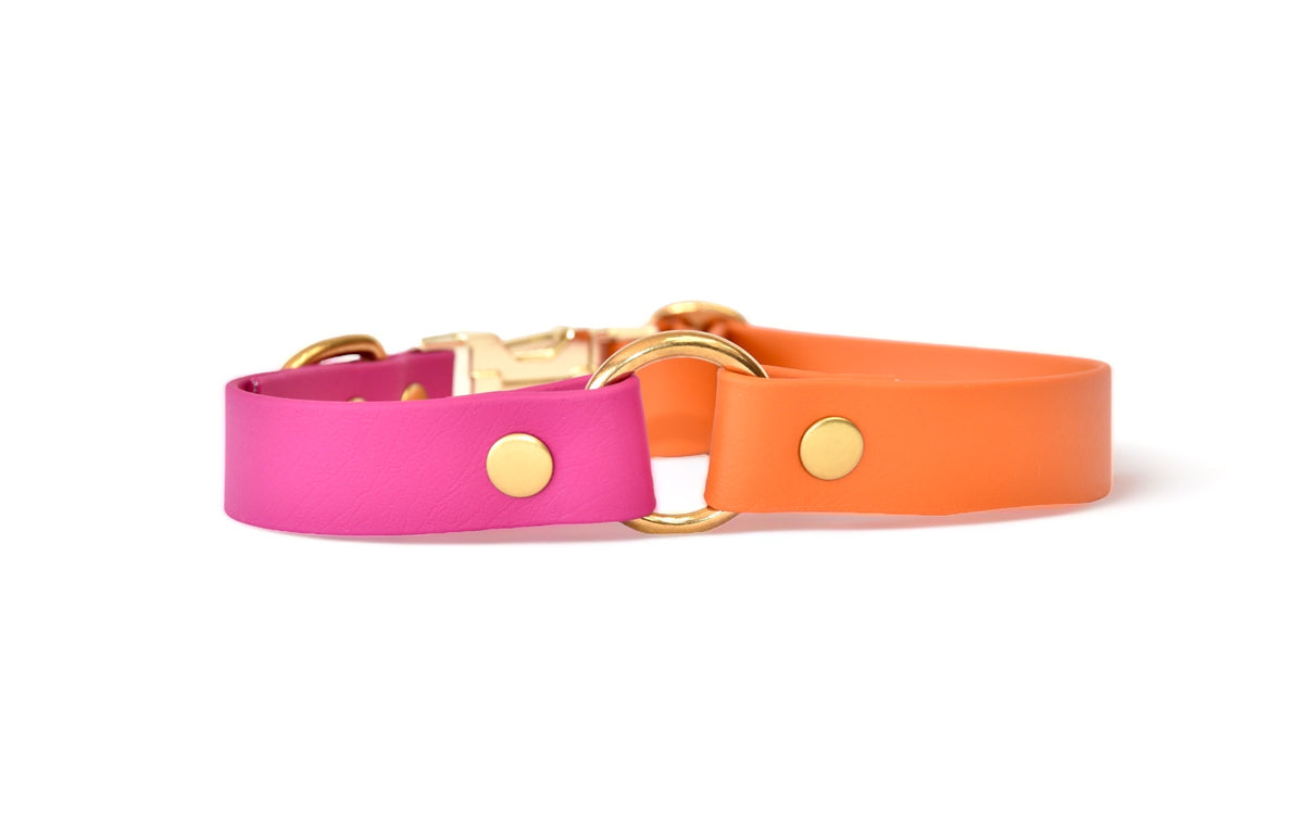Collier Summer - Biothane