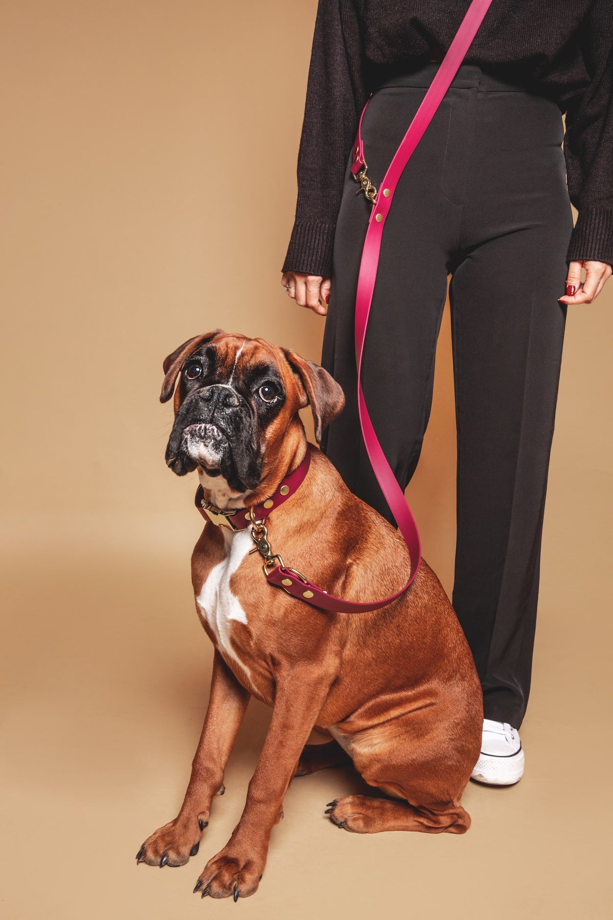 Burgundy Leash - Biothane