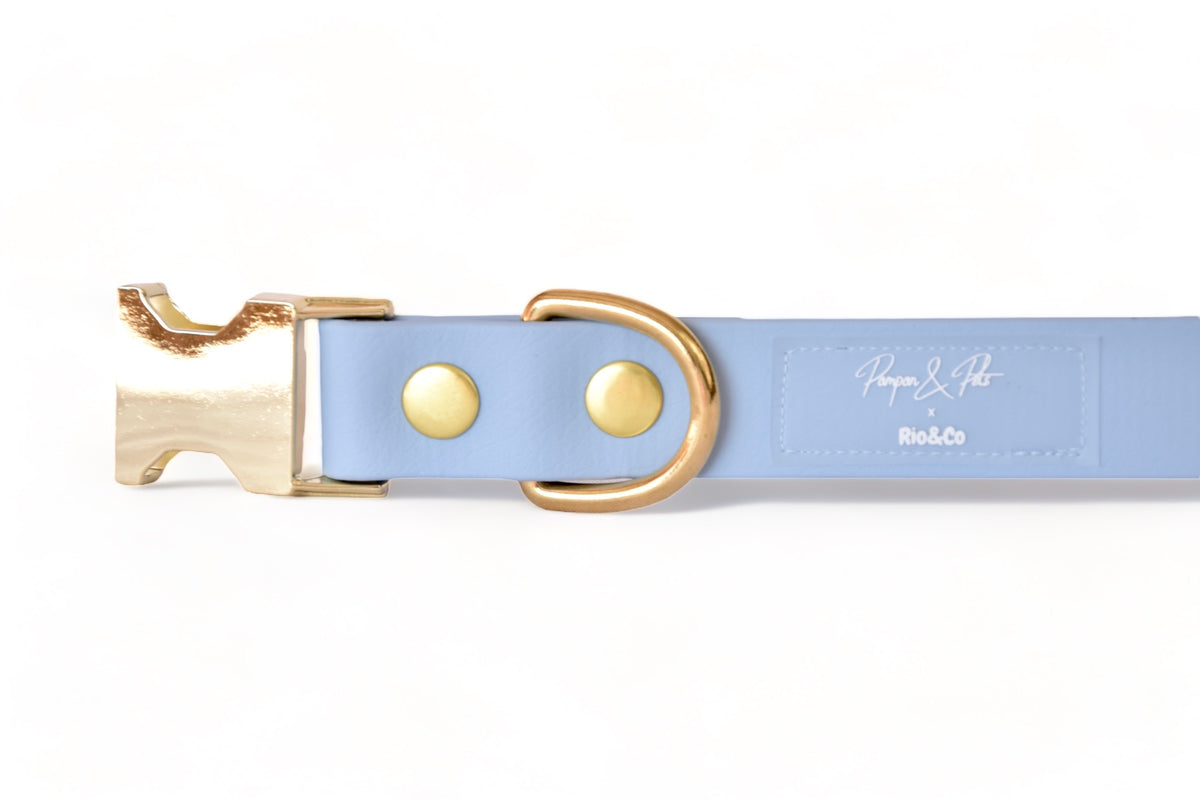 Collier Rio&Co x Pompon&Pets Rainbow