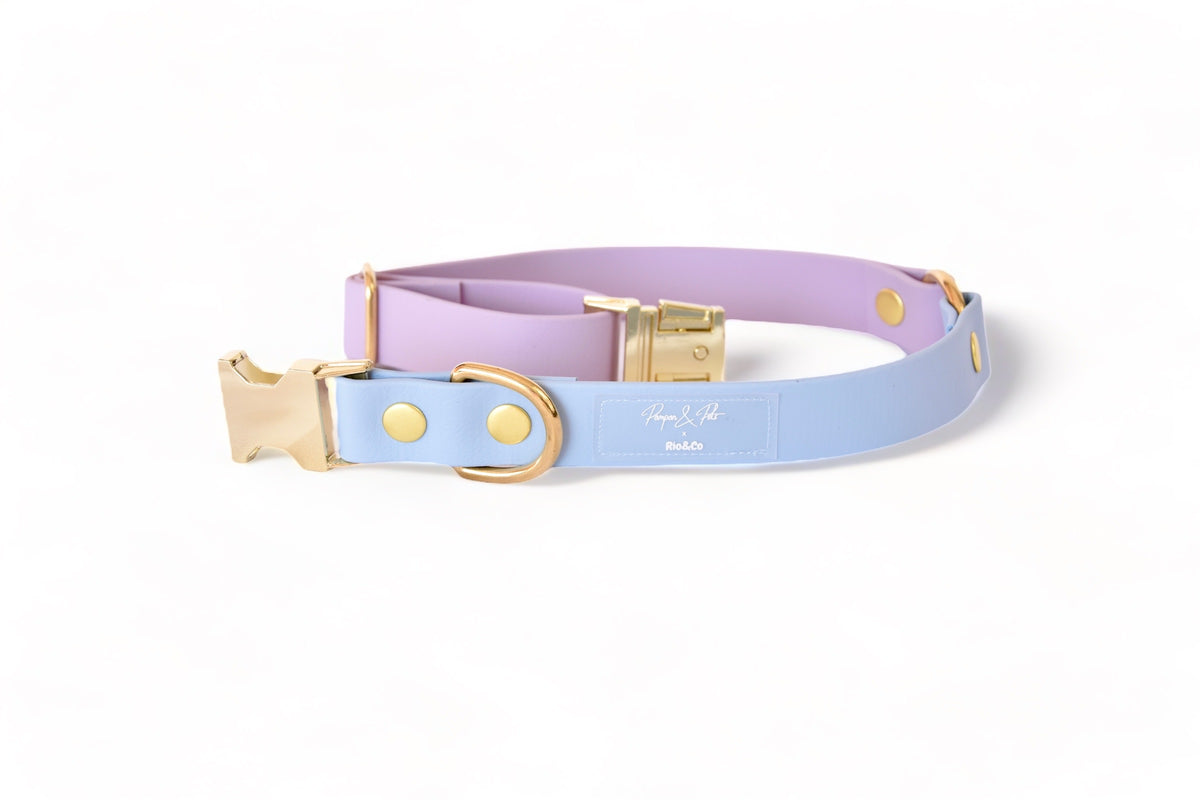 Collier Rio&Co x Pompon&Pets Rainbow