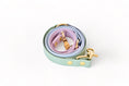 Load image into the gallery viewer, Rio&Co x Pompon&Pets Rainbow Leash

