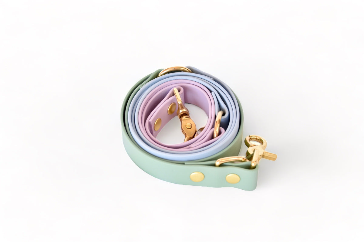 Rio&Co x Pompon&Pets Rainbow Leash