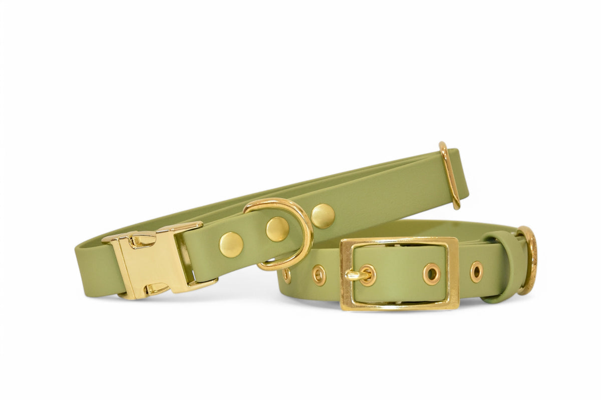 Collier Avocat - Biothane