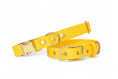 Charger l'image dans la visionneuse de la galerie, Collier jaune - Biothane
