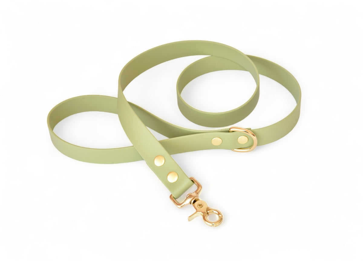 Avocado Leash - Biothane