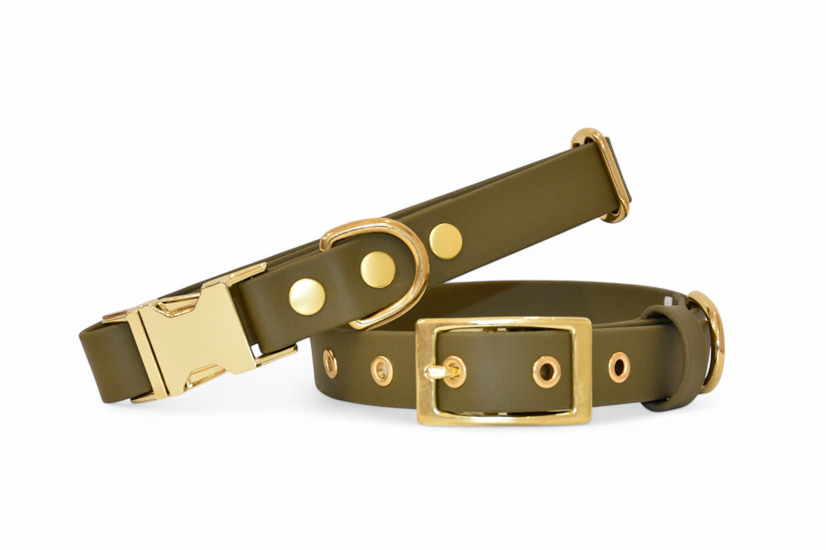 Olive Collar - Biothane