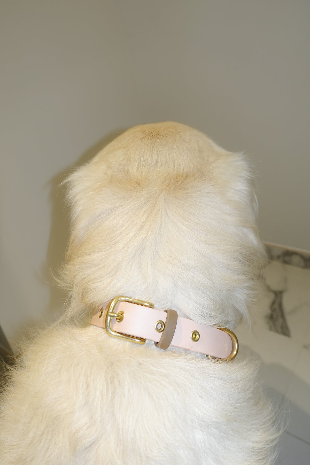 Rio&Co x Pompon&Pets Collar