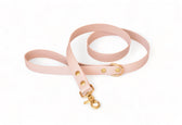Laisse Nude - Biothane