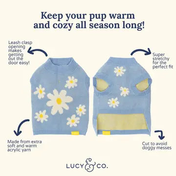 Pull Marguerites