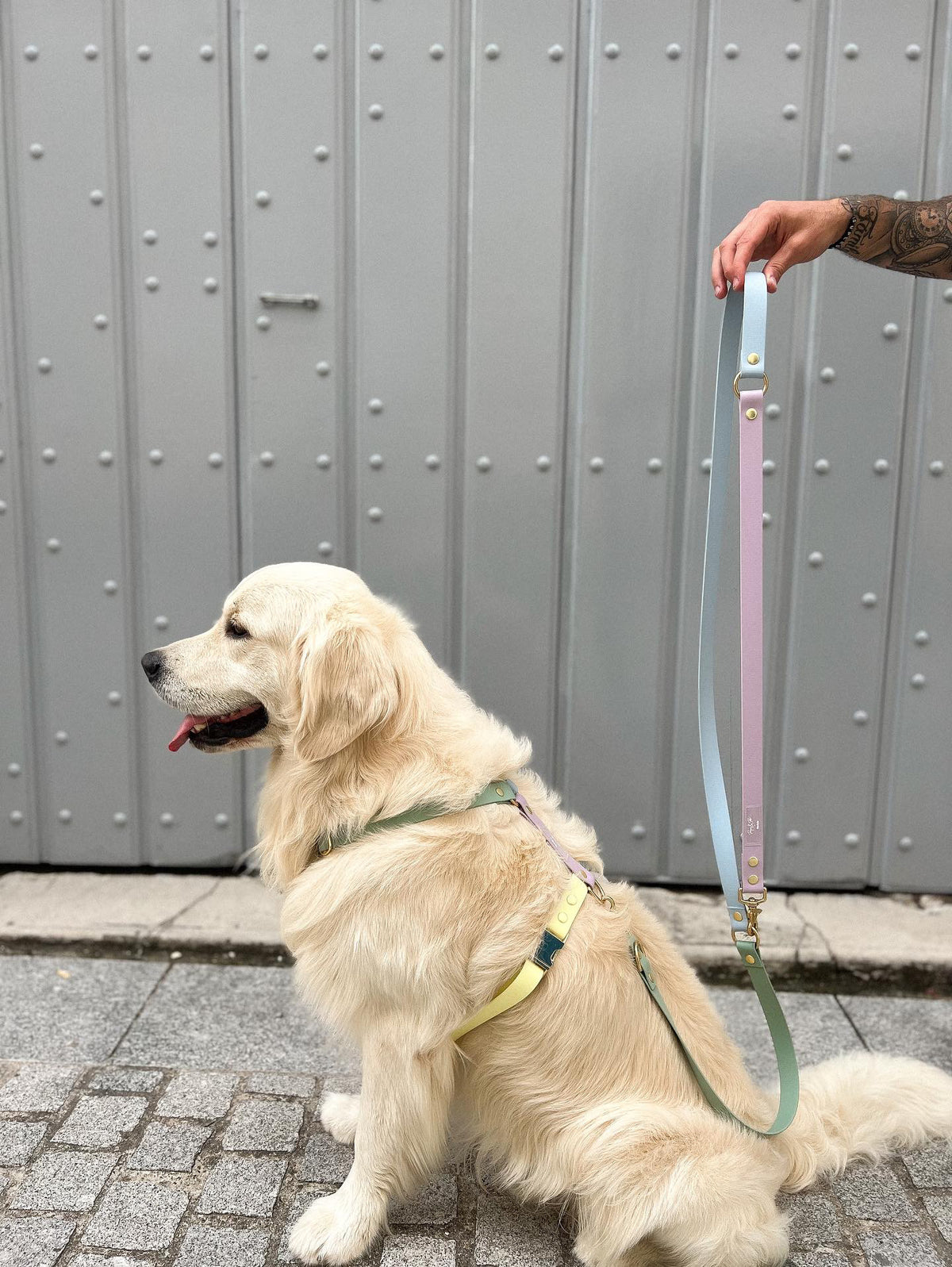 Rio&Co x Pompon&Pets Rainbow Leash