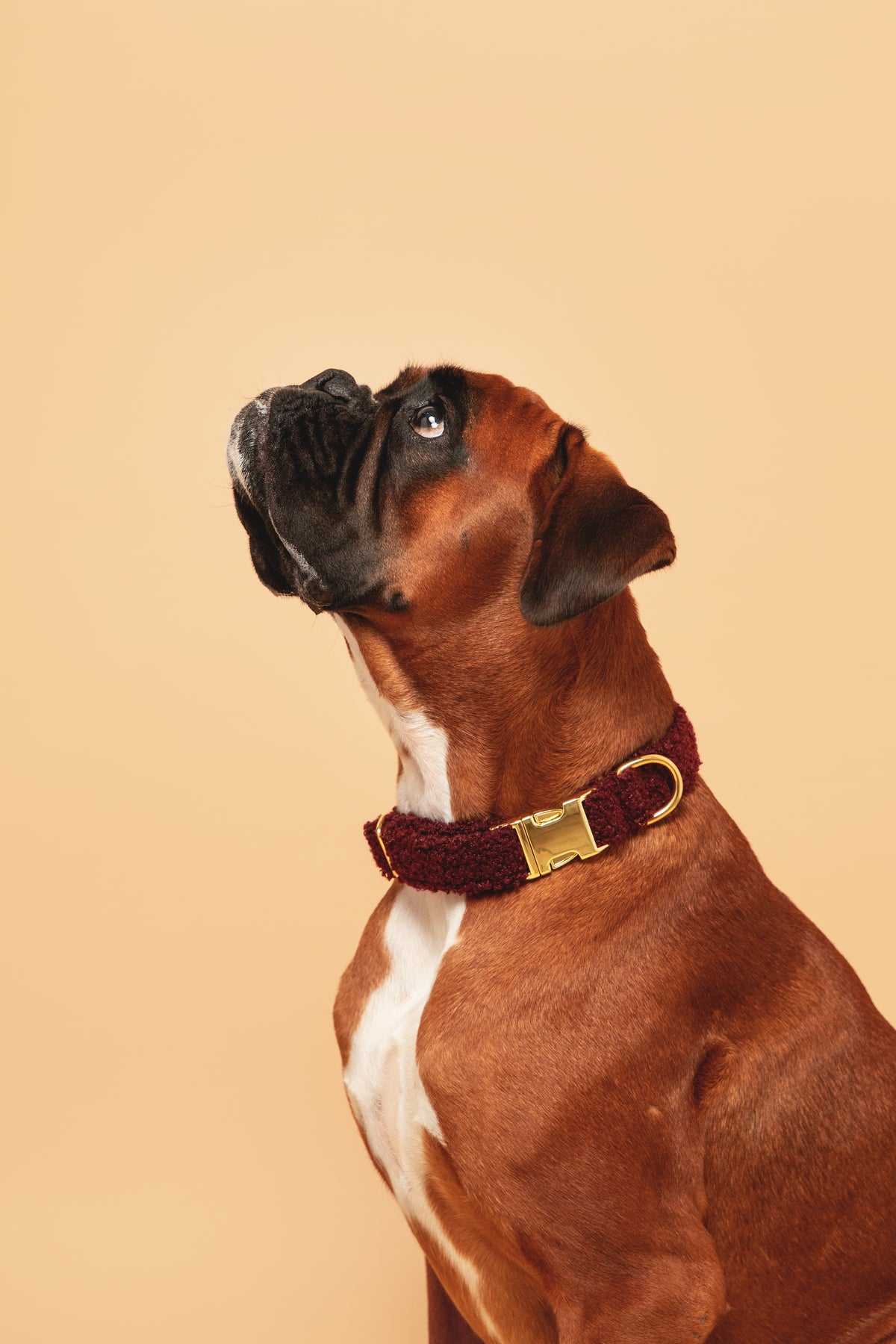 Burgundy Teddy Collar - soft fabric
