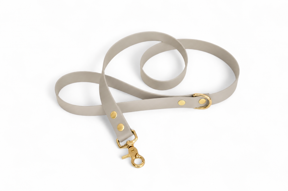 Sand Leash - Biothane