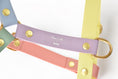 Charger l'image dans la visionneuse de la galerie, Harnais Rio&Co x Pompon&Pets Rainbow
