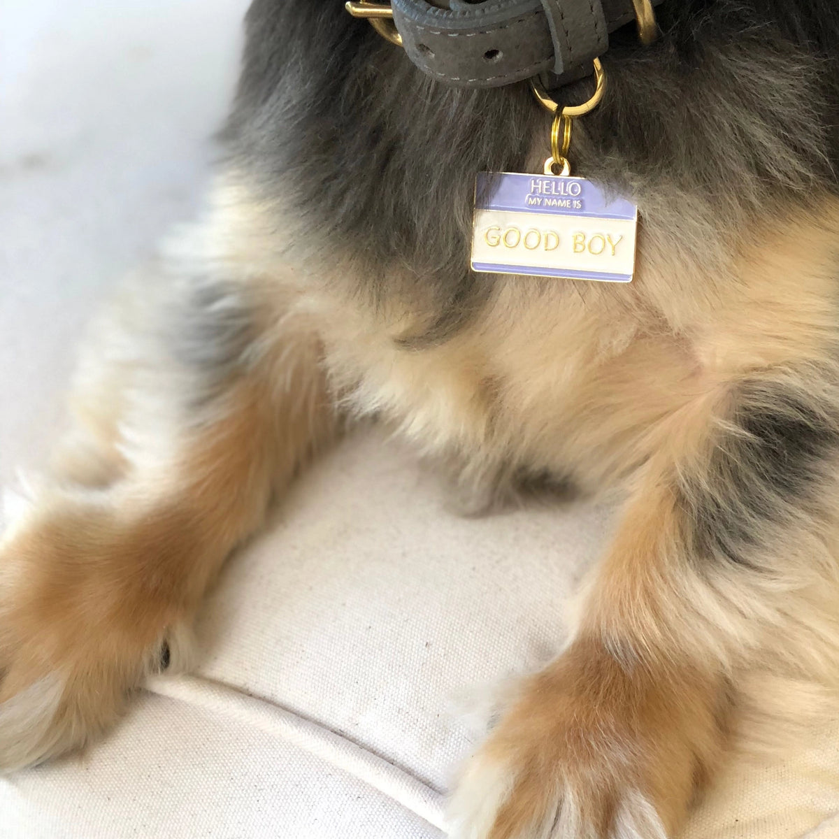 Médaille Good boy