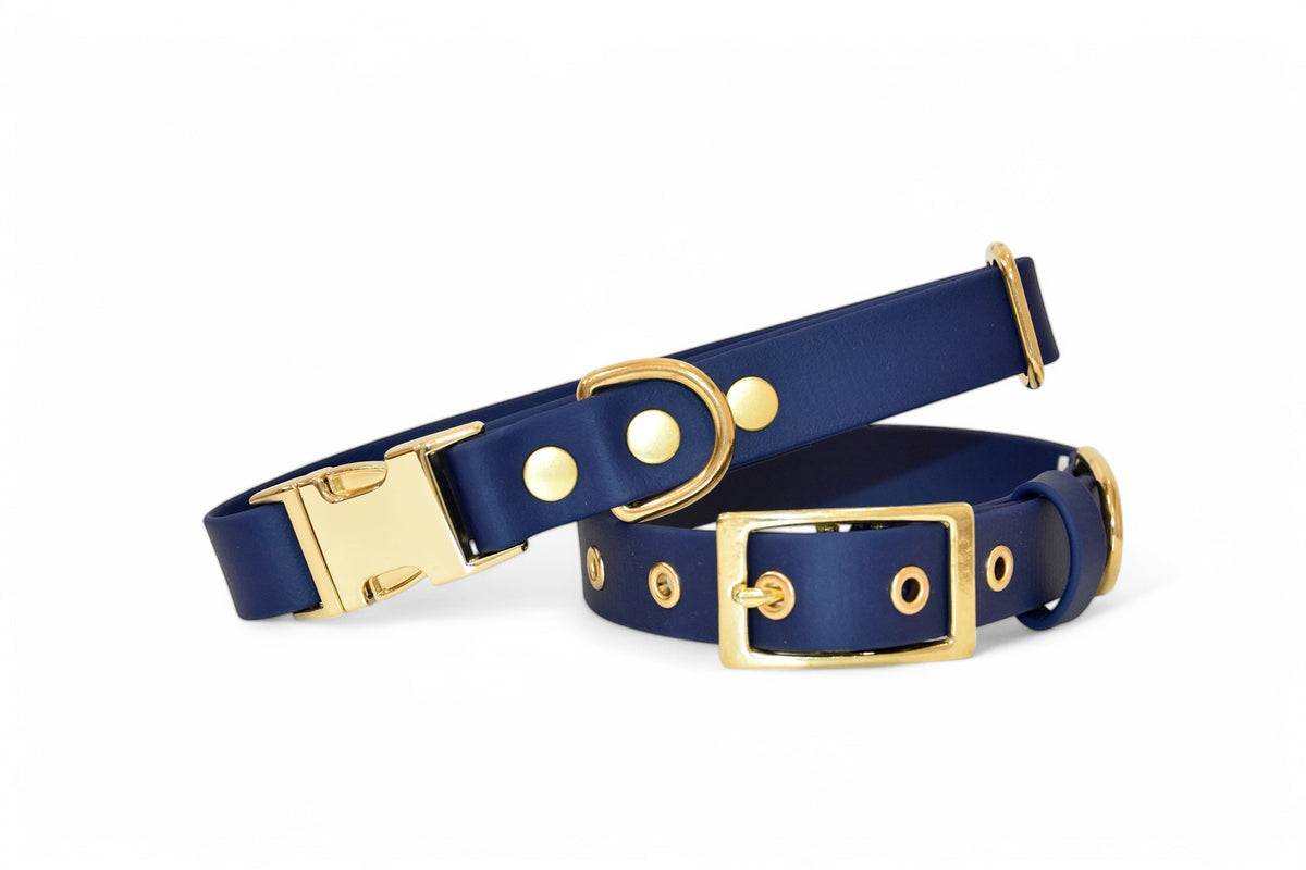 Collier Bleu marine - Biothane