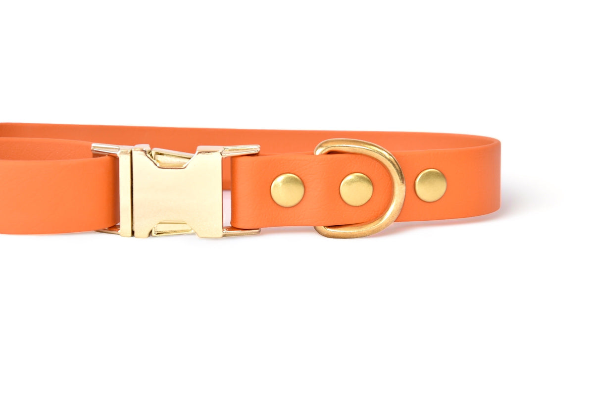 Orange Collar - Biothane