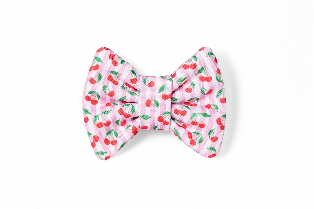 Nœud papillon Cerise - tissu imperméable