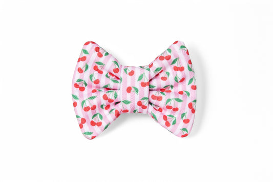 Nœud papillon Cerise - tissu imperméable