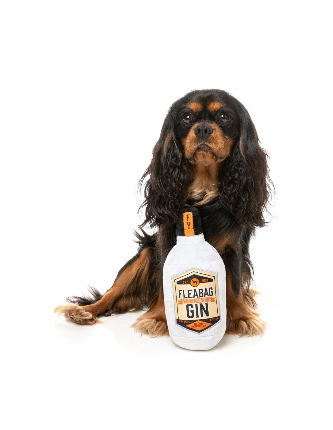 Gin