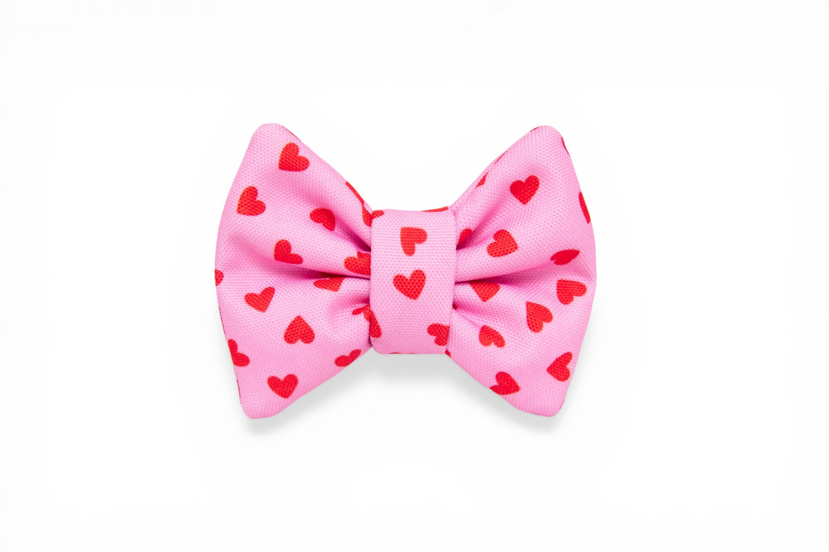 Amore Bow Tie - waterproof fabric