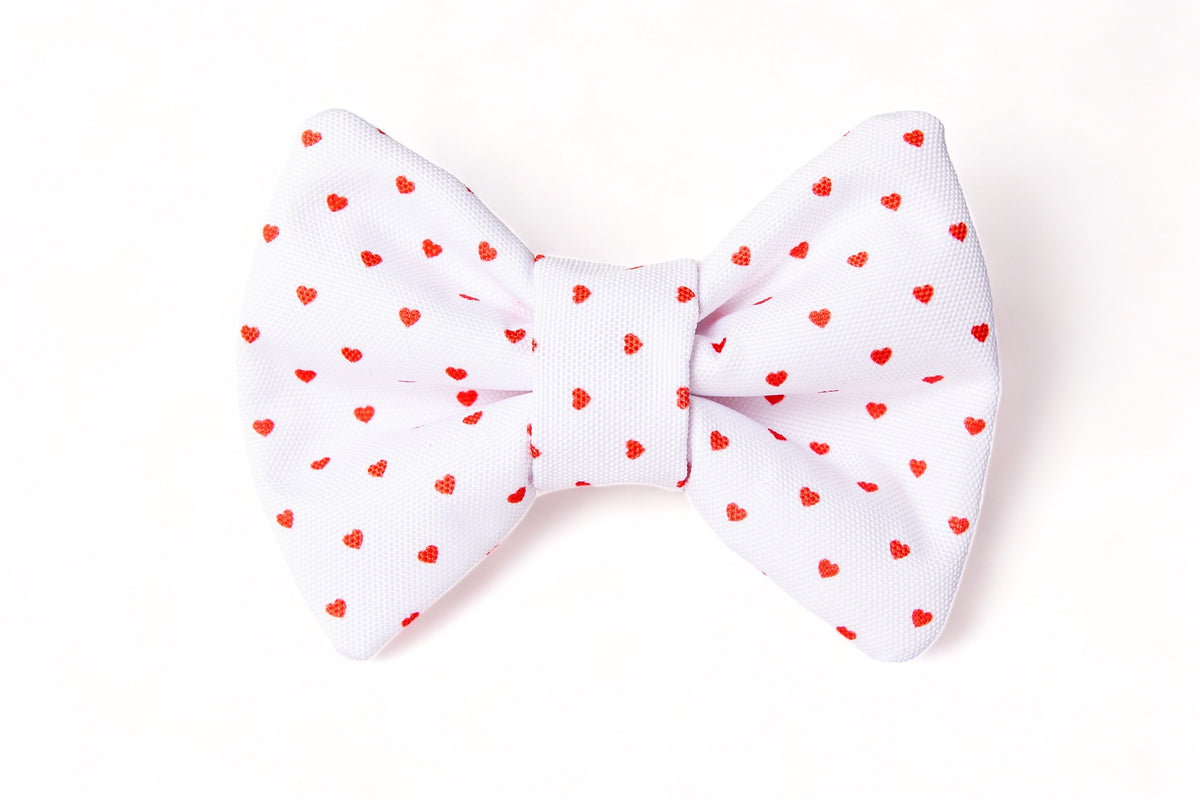 Nœud papillon Pompon&Pets tissu imperméable