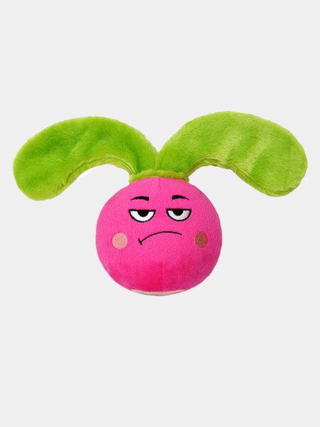 Radish