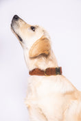 Charger l'image dans la visionneuse de la galerie, Collier Teddy Camel - tissu douceur
