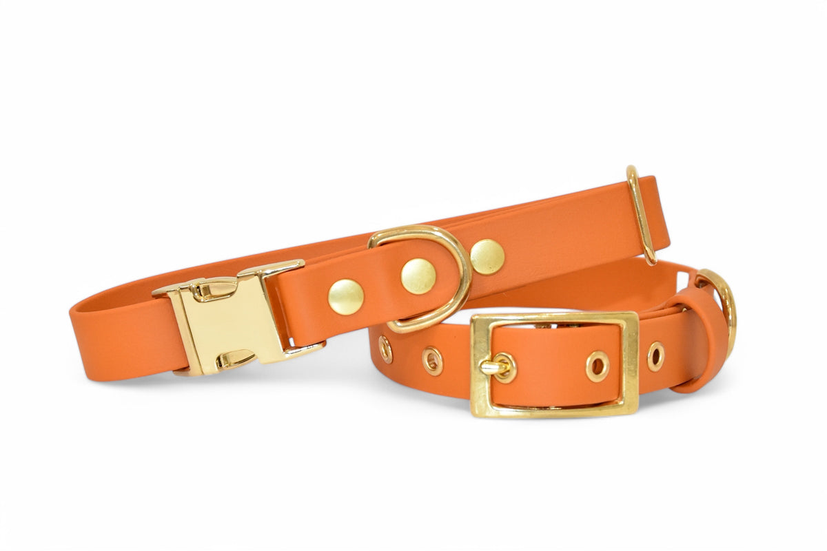 Orange Collar - Biothane