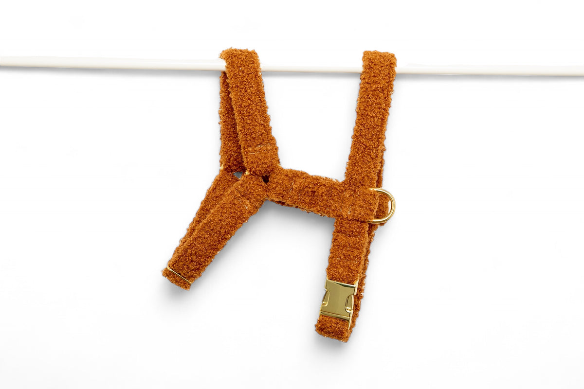 Harnais Teddy Camel - tissu douceur