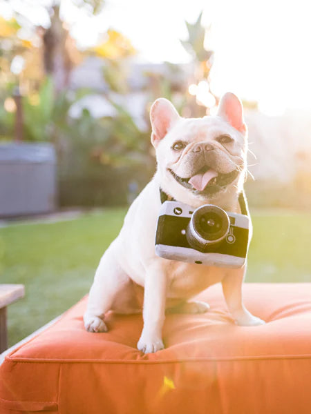 Camera