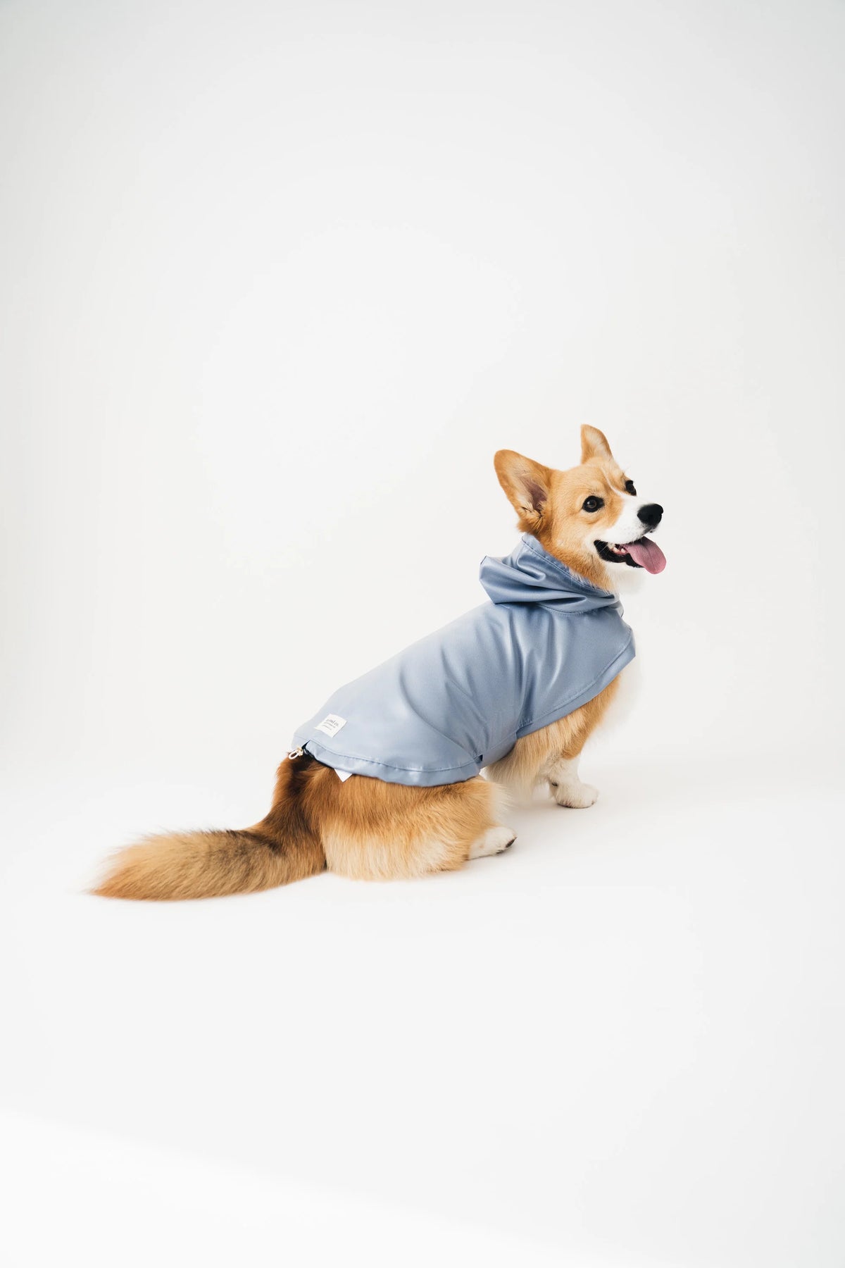Imperméable Bleu