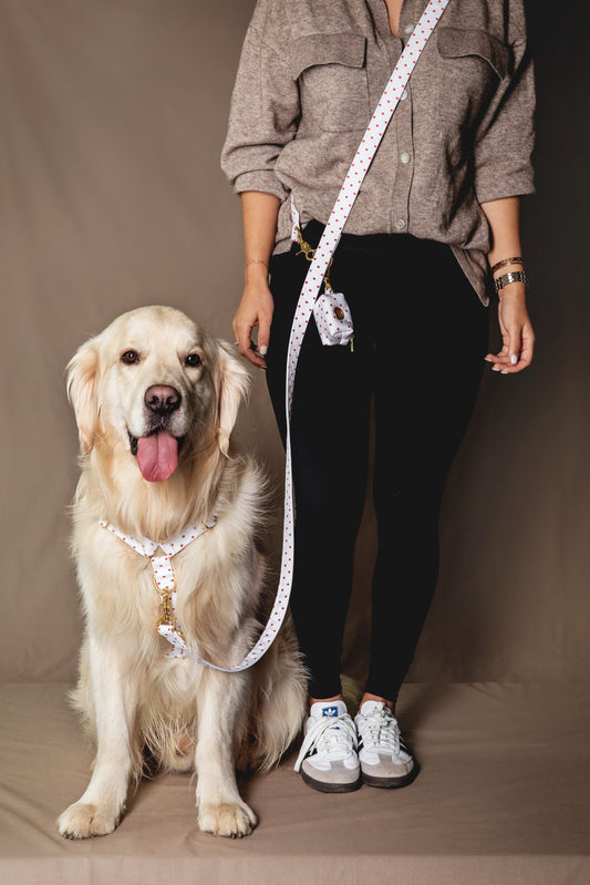 Distributeur de sacs Pompon&Pets - tissu imperméable