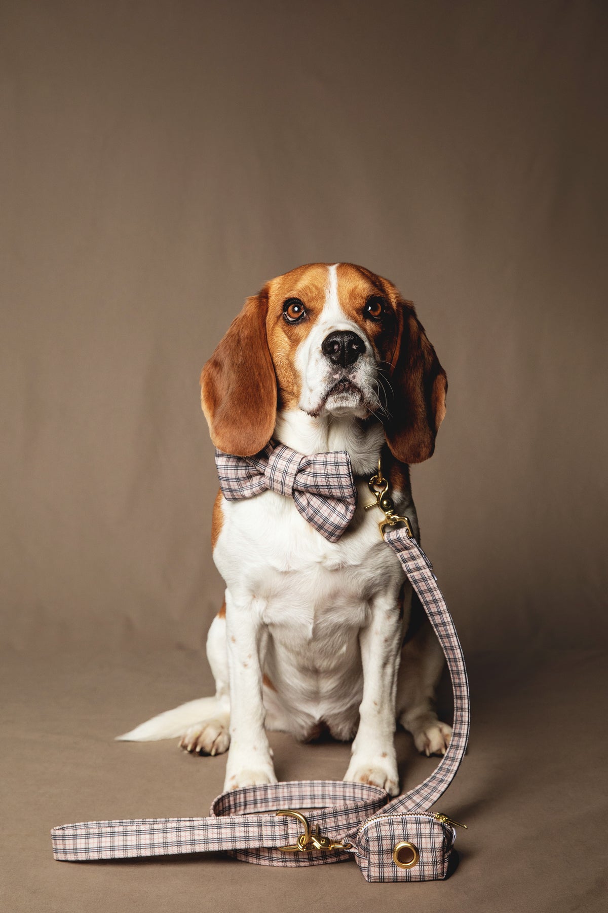 London Poop Bag Holder - waterproof fabric