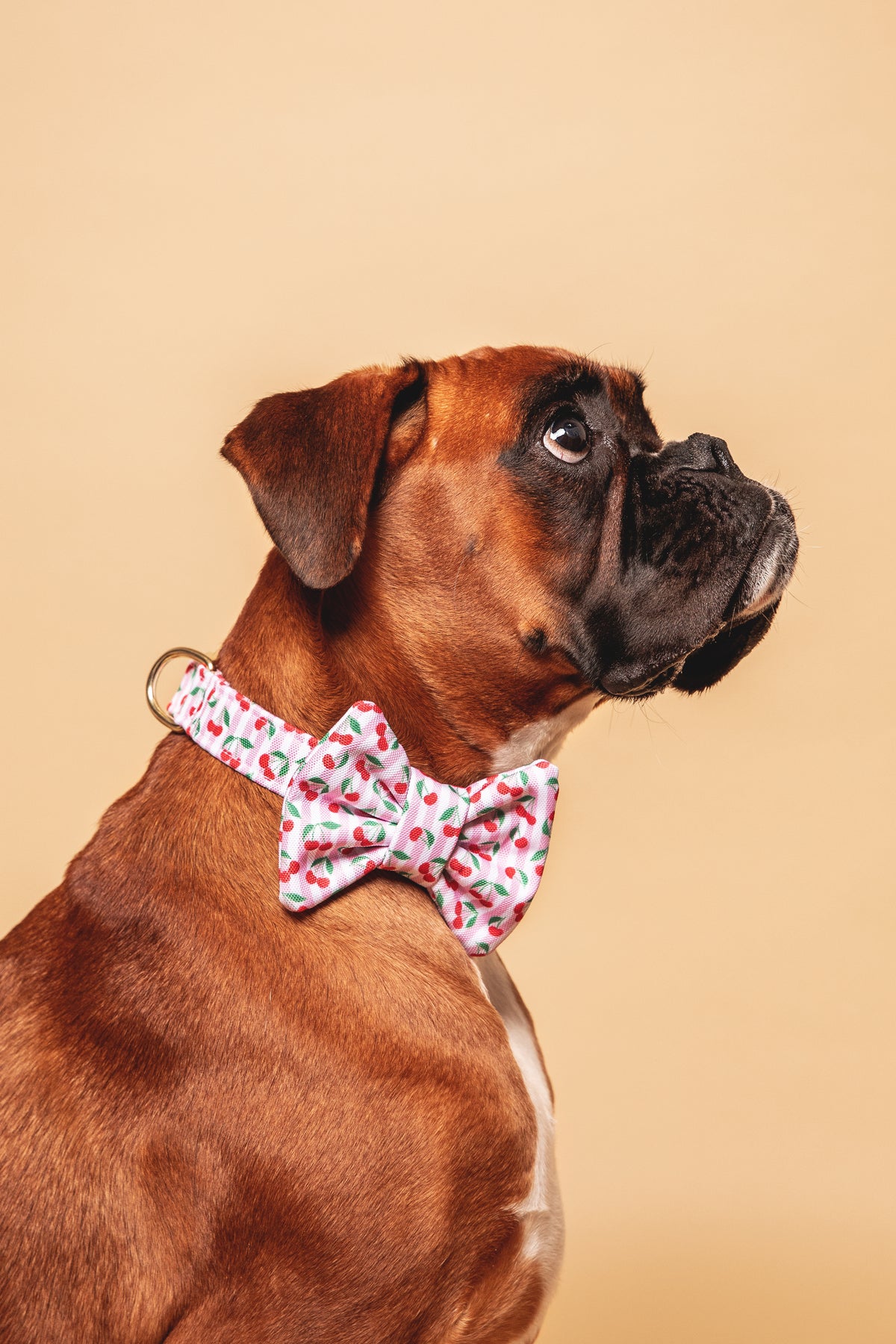 Nœud papillon Cerise - tissu imperméable