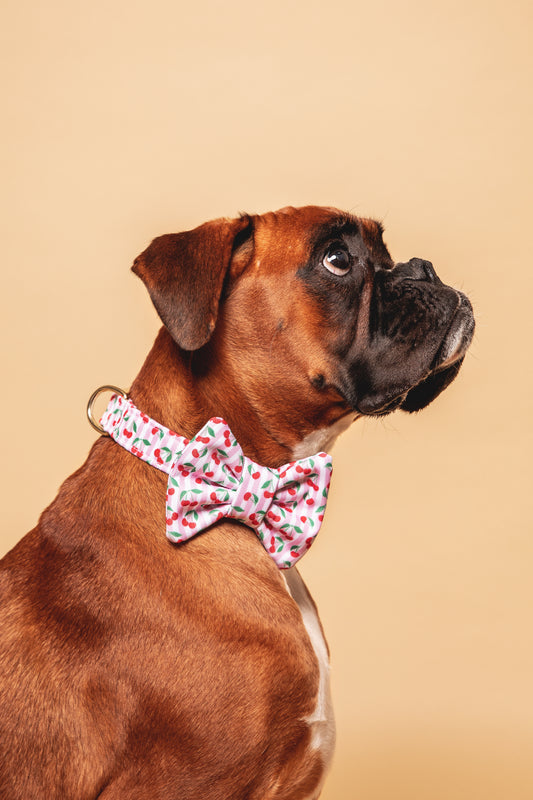 Nœud papillon Cerise - tissu imperméable