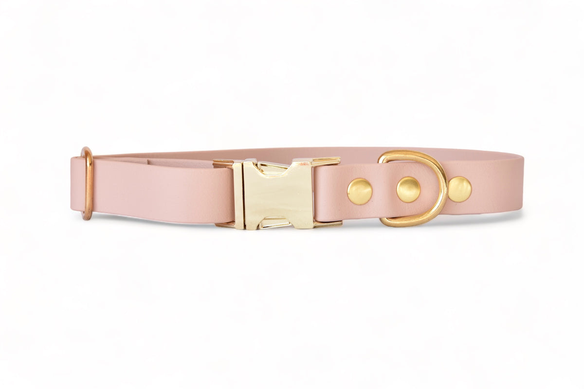 Collier Nude - Biothane