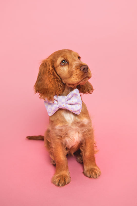 Nœud papillon Daisy - tissu imperméable
