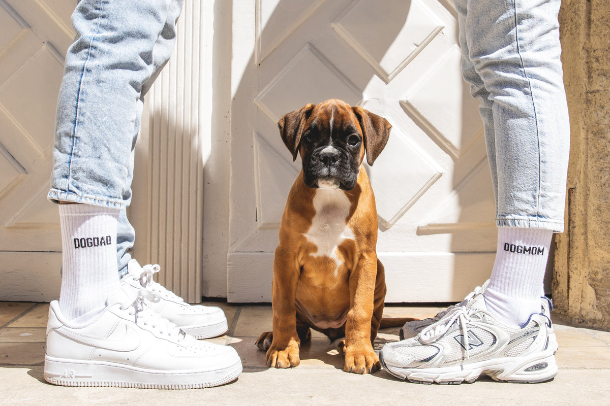 Dogdad Socks