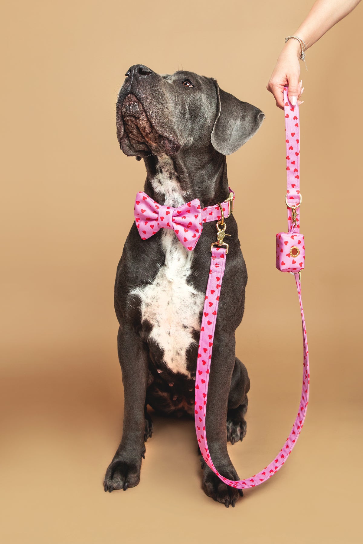 Amore Leash - waterproof fabric