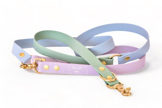 Laisse Rio&Co x Pompon&Pets Rainbow