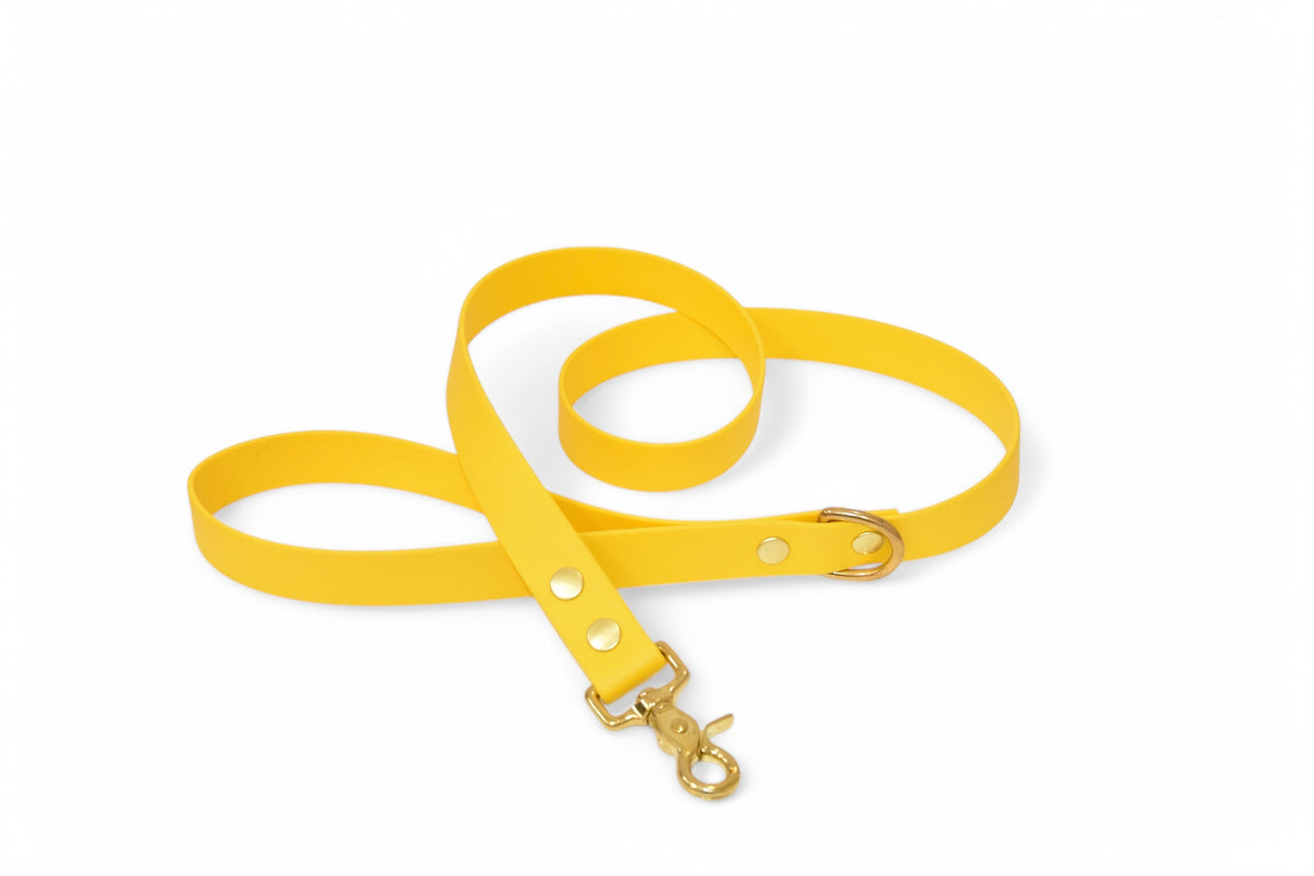 Laisse jaune - Biothane