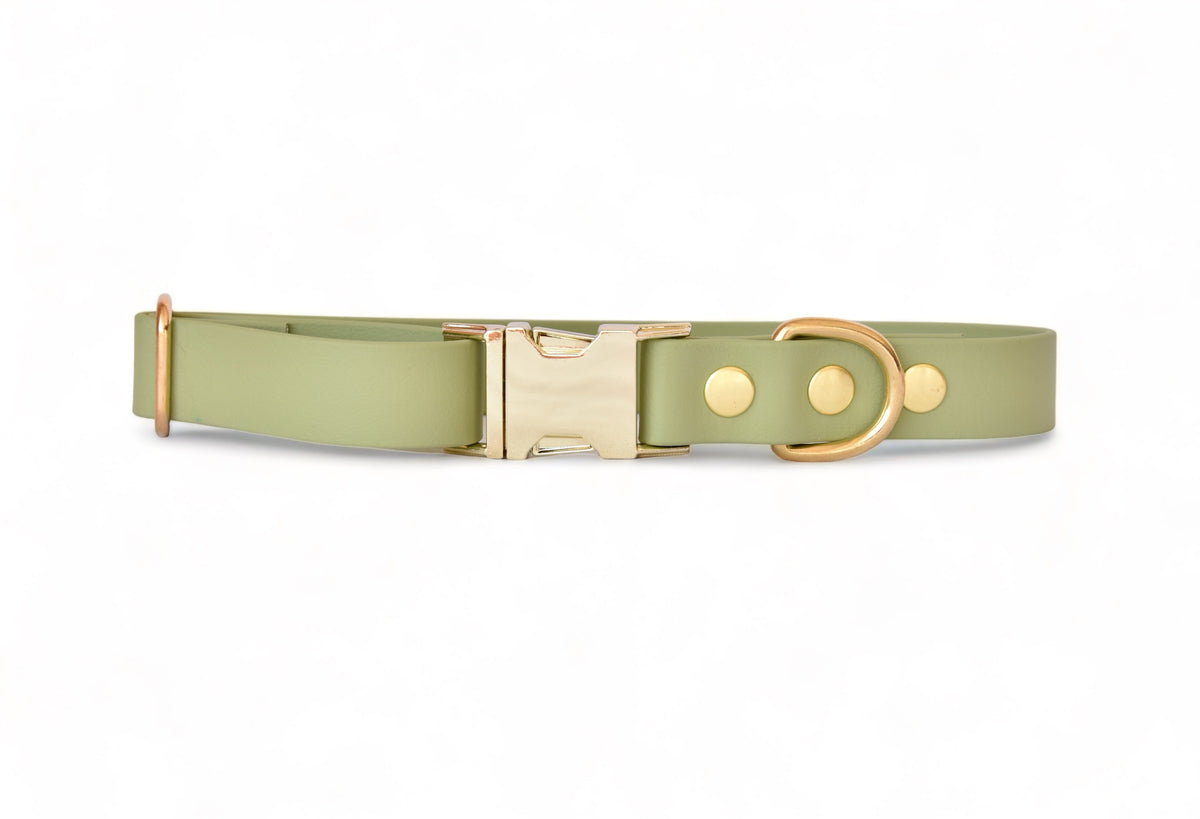 Collier Avocat - Biothane