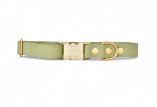 Avocado Collar - Biothane